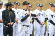 阪神2軍キャンプインで、いきなり“カツオ節”炸裂！「僕のタオルかざしてくれて」糸原にはムチャぶり