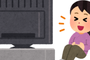 お前らが世間の「テレビ離れ」でも見ている番組って何？