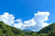 【利根郡】桐の木平キャンプ場【動画】紅葉の見ごろ 10月下旬～11月中旬♪
