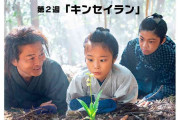 【朝ドラ】らんまん　第２週「キンセイラン」