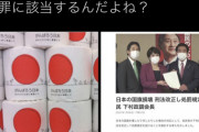 香山リカさん国旗損壊罪に反発「もちろんこのトイレットペーパーも該当するんだよね？」[1/29]