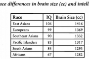 【海外の反応】アジアの学生は本当に頭が良いの？⇒韓国人「ＩＱは１１５しかなかったけど…」