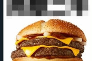 【なんJ】マクドナルドさん「これからはサムライマックをこう呼んでもいいよ」