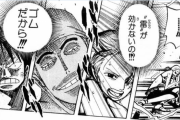 【ワンピース】エースって敵だったらルフィの天敵だよな