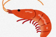 エビ←明らかに人類に食われるためにデザインされた生物