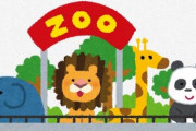 【悲報】なんJ民、「動物園で最もテンションが上がる動物」で4派に割れてしまう