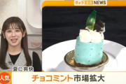 【朗報】チョコミント、超絶人気になるｗｗｗｗｗ