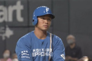 【悲報】日ハム王柏融　打率.040