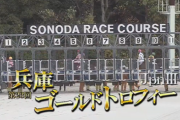 【兵庫ゴールドトロフィー】 サンライズホーク＆Mデムーロ騎手がｷﾀ━━━━(ﾟ∀ﾟ)━━━━!!