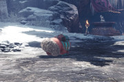 【MHWアイスボーン】セリエナのプーギー、クソウザい。