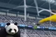 中国人「サッカー日本代表、W杯で大活躍のGKが電光石火の移籍へ！」　中国人「田中碧とチームメイト」「オナナも彼には及ばない」