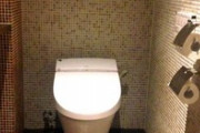 家建てたんだがトイレが無駄に広かった…