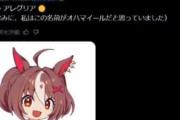 【ウマ娘】探せばいそうなオハマイール…これは仕方がないね。