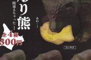 北海道名物「木彫り熊」が、食べるもの間違えちゃって、ガチャフィギュアになった！
