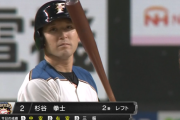 日ハム杉谷拳士とかいう最後のピースｗｗｗｗｗｗｗｗ