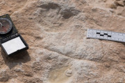 12万年前の人間の足跡発見！サウジの砂漠は緑豊かだった可能性