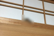 【画像】なんか上の方からカサカサ音がする…まさか奴か…？と思いきや、これは・・・！！