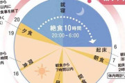 ダイエットは「絶食10時間以上」がカギ時間栄養学の第一人者に聞く「やせ体質をつくる習慣」