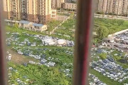 【動画】中国･武漢市、高層マンション群の中の草むらに放置されている大量の乗用車！