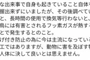 【悲報】たこ焼きを焼いたらインコ２匹が死亡する事案が発生