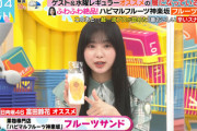 【日向坂46】驚愕のお値段！！すーじー、"層にっているもの"でフルーツサンドを紹介！【ラヴィット】