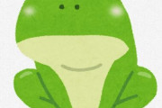 なんで女ってカエルにそんなにビビるんだ？カエルってそんなにキモいか？