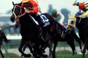 【悲報】1992年の阪神３歳牝馬Ｓを優勝したスエヒロジョウオー死亡　30歳