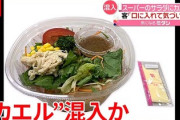 【悲痛】カエル入りサラダを食べた女性、トラウマになり食べた物を嘔吐する状態に…