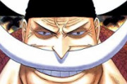 【悲報】ワンピースの元四皇・白ひげ、改めて考えると弱すぎるｗｗｗ