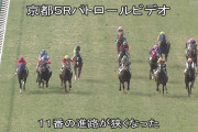 【競馬】アドマイヤロブソン寄れ過ぎワロタｗｗｗｗ