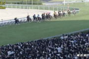 【菊花賞】セイウンハーデス幸英明の暴走で今年の菊花賞が糞レースになってしまった w w w