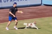 【動画】大谷さん、愛犬デコピンのしつけまでメジャークラス