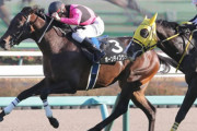 【競馬予想】第71回ラジオNIKKEI賞(GⅢ)/2022