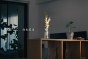 鈴木愛理『嘘だよ』(Teaser)