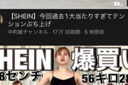 【恐怖】中堅YouTubeさん達、急に一斉に『SHEIN』の動画を上げだす…