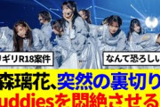 【櫻坂46】石森璃花、ライブ最終日の煽りでBuddiesを悶絶させるwww