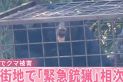 楽韓さん、本日の動向 - そんな餌で俺様が釣られクマー……とか言っている場合じゃないか