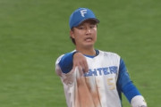 【vs.ソフトバンクオープン戦】日ハム奈良間、ファインプレー！