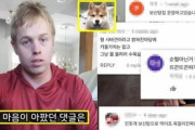 【極悪非道】韓国人が「柴犬との雑種だから食べよう」と悪質な書き込み！珍島犬を飼っているユーチューバーに血統論争が起こる！　韓国の反応