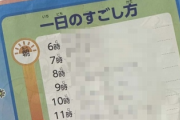 X民「うちの子の夏休みの過ごし方ヤバい...。 どうしたらいいか正解求む」