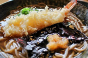 蕎麦「美味しいです。栄養価高いです。ヘルシーです。」←これが天下取れなかった理由
