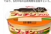 【悲報】江崎グリコ､システム障害でほぼ全ての冷蔵商品を5月中旬まで出荷できない｢プッチンプリン｣や｢カフェオーレ｣など