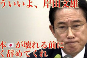 日本に恨みでもあるんか岸田！ 児童手当、10月支給分から一部廃止　約61万人の子どもが対象外に！年金や児童手当をカットして途上国に８・８兆円以上の拠出表明。