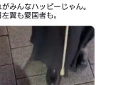 祖国に帰ってやればいいのに　〜　国旗を損壊したくてたまらないパヨク達が発狂