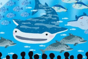 おまえらはもっと日本国内でジンベエザメを見に行ける幸運を噛み締めたほうがいい