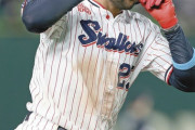 【悲報】ヤクルトファン「サンタナはメジャー無理やから来年もいてくれる」←これ