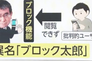 【朗報】河野太郎ブロック担当大臣、総裁選出馬！