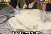 『ザ！鉄腕！DASH！！』巨大食堂で1年越しの伏線回収に成功