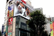 【!?】新宿駅前に突如「巨大な猫さん」が出現！！これは一体？