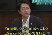 【お笑い】小泉環境相「説明すること自体がセクシーじゃないよね」